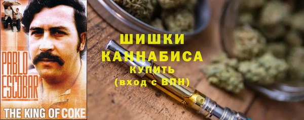 гидра Алексин